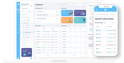 DirectAdmin Interface