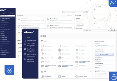 cPanel Interface